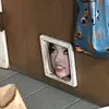 zipzapzarip