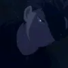 bedolaga213