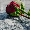 remorseful1