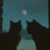deimos.moon