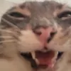 billieismyqueenn