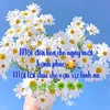 annhienlucky