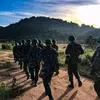hoang.vn.cao
