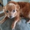 luckythechaweine