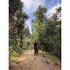 ashish_malla