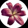 username11009955