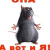user5222481404758