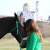arinazavualova