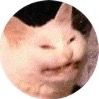 irl._.meena