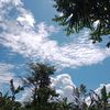moza_1922