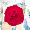 diemdiem2828