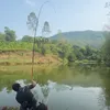 thamcaudatto_6886