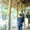 adi.kng.sad