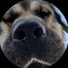 username1051491895
