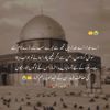 palwasha_is_here