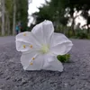 kiranbaloch02