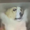 lulu____lulu03