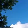 elizabhete19