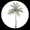 jm..ksa