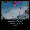 ayeshaaslam0666