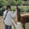 ylymalili_