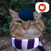 dumpedgod