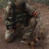 gangrelated001