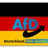 einfachmike51