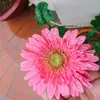 mystar93