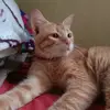 suakansemaeserayu