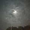 quankulls98