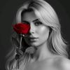 Nour_status