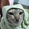 oanh15117