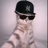 strt.snoop