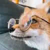 kit_the_chaosfox
