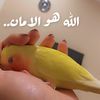 kik0_o0