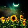 sunflowerfullmoon7