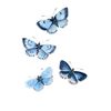 user04688544