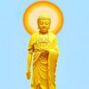 dieuvinh04