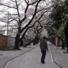 hosokawa_akihiro