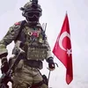 turkishpowerts61