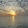 mustafa_6636