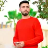ali_z912