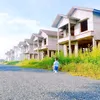 shinno0605