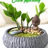 rafeeqcalicut1