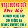 hoang_du_ky