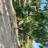 phamhung022022