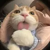 nguyennhuuutuu