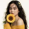 pehong.tv