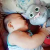 randyrabuya